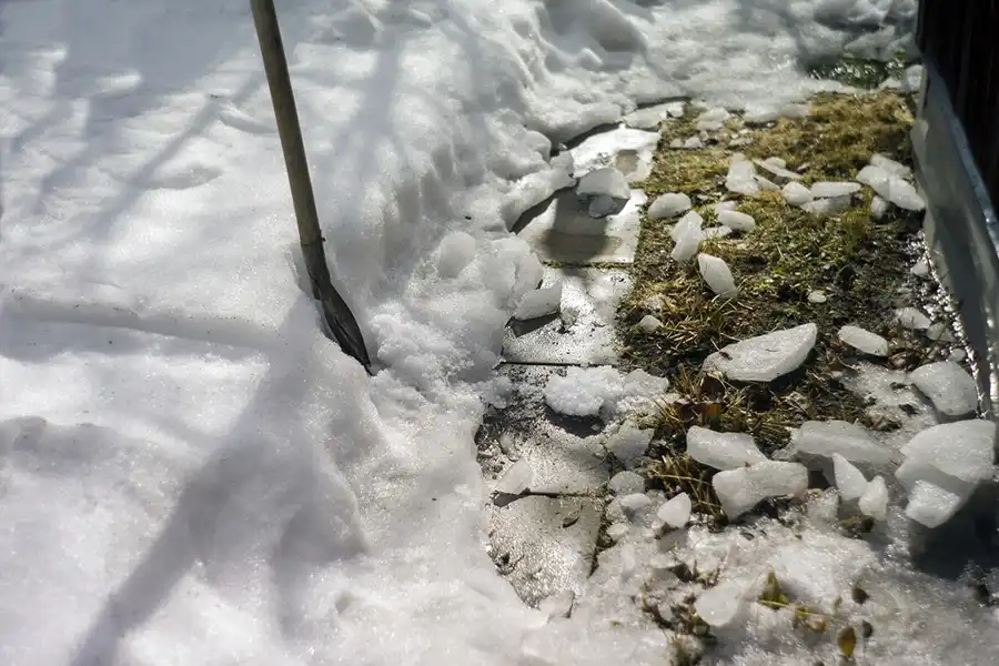 Reyes Landscaping and Maintenance's other services